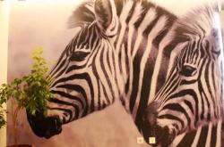 开云体育平台APP-雄狮勇夺东部，火箭雄霸西部