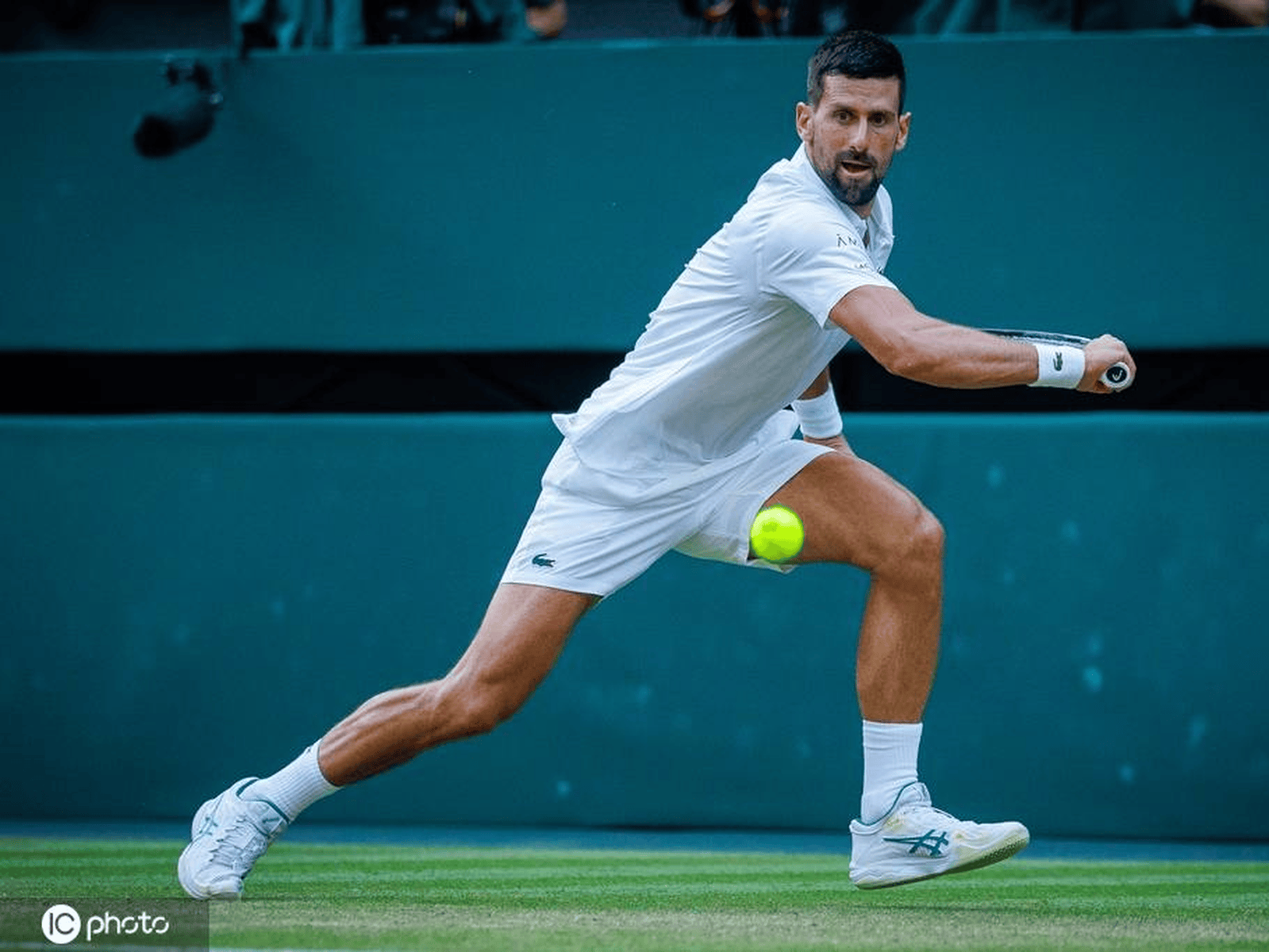 澳网翻盘温网，德约科维奇带队取胜的简单介绍